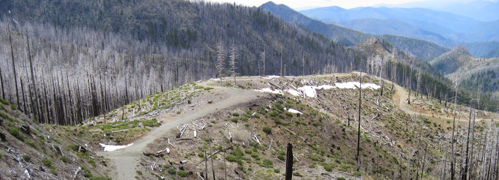 Stopping Post-Fire Clear-cuts in the Columbia Gorge